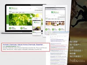 SEO Website, Search engine optimization Website Design, Html5, Responsive, SEO, Internet Marketing, Multilingual Websites, SEO Website, Search engine optimization